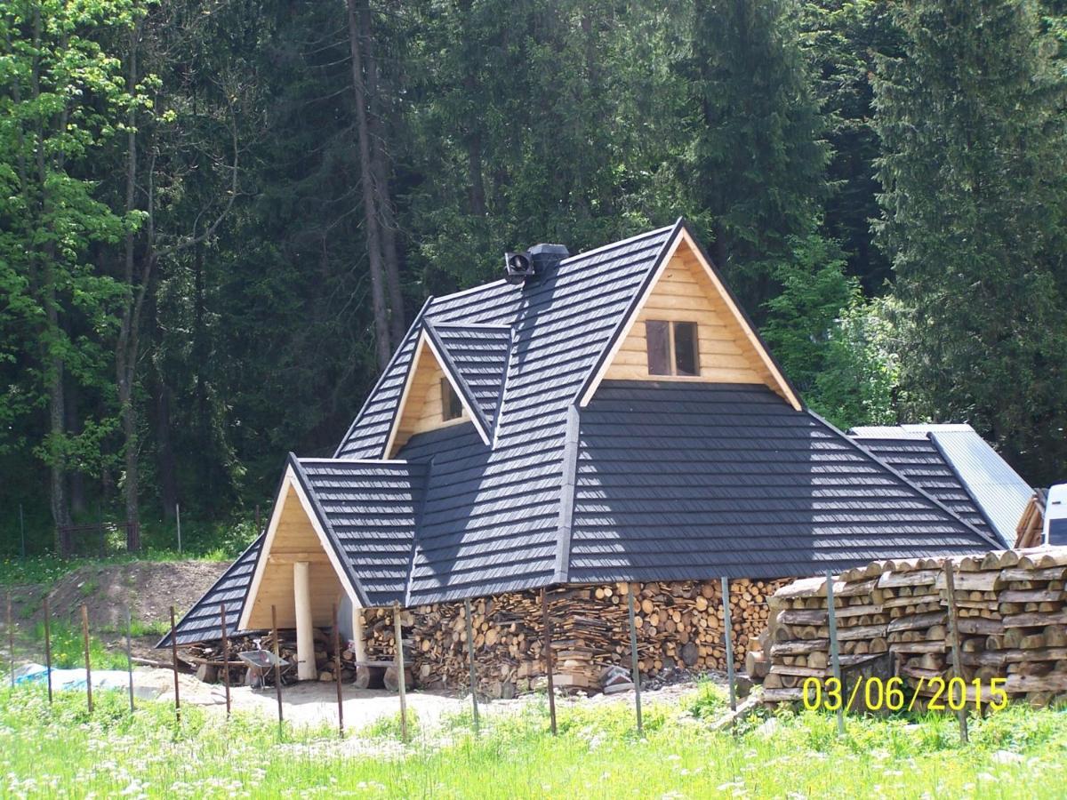 Willa Sport Zakopane Exterior foto
